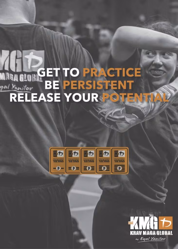 KMG P Level Poster